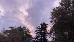 VREMENSKE PRILIKE BLAGE Idiličan oktobarski dan pred nama, temperatura kao prolećna!