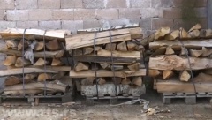 RADNIK "SRBIJAŠUMA" KRAO DRVA Policija mu stavila lisice na ruke