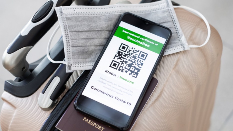 IZDATO UPUTSTVO INSTITUTA BATUT Putnici koji dolaze iz rizičnih zemalja još jednu stvar moraju da urade osim PCR i karantina