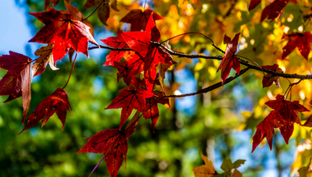 PROLEĆE KAD MU VREME NIJE Pogledajte najnoviju prognozu za vikend - evo kada nas očekuje zahlađenje