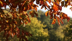 SPAVAMO SAT VREMENA DUŽE Noćas počinje zimsko računanje vremena