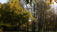 DETALJNA VREMENSKA PROGNOZA ZA NOVEMBAR Iznenadiće vas temperature, a evo i da li će biti snega