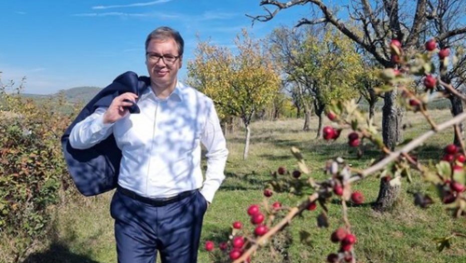 LEPOTA SRBIJE OSTAĆE VEČNA Predsednik Vučić zabacio sako preko ramena, a onda zastao na mestu sa kog se pruža nestvaran pogled