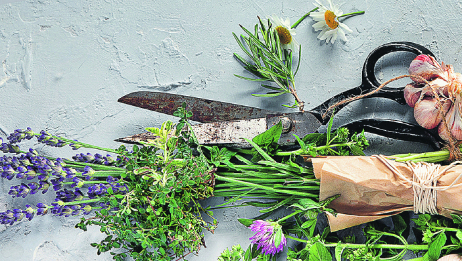 SLAVIMO SVETOG APOSTOLA Danas u kuću unesite venac od ruzmarina, a evo i zašto