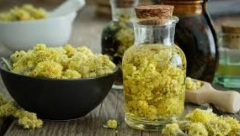 SVAKA KUĆA MORA DA IH IMA Ove biljke koje štite od zla, neutrališu negativnu energiju, donose sreću