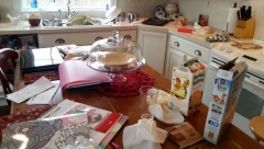 NERED U KUĆI OTKRIVA SKRIVENE PSIHOLOŠKE PROBLEME Šta prašina i prljava kuhinja govore o vama