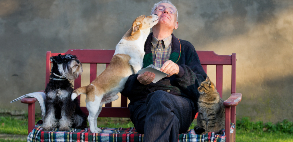 PAS & MAČKA (NE) MOGUĆA MISIJA  Otkad je sveta u veka vlada mišljenje da pas i mačka ne mogu da se podnesu, ali uz naše savete dokazaćete suprotno
