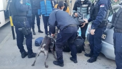 KRIJUMČARIO MIGRANTE IZ AVGANISTANA Udario u kombi, pa pobegao - policija unutra zatekla 34 azilanta!