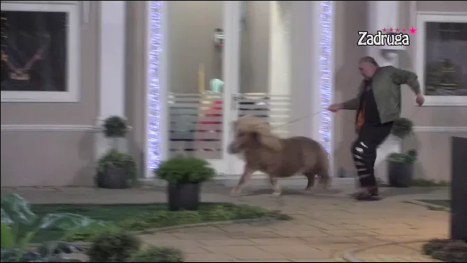 SMEH DO SUZA Miki Đuričić jurio ponija po dvorištu, zadrugari vrištali od smeha! (VIDEO)