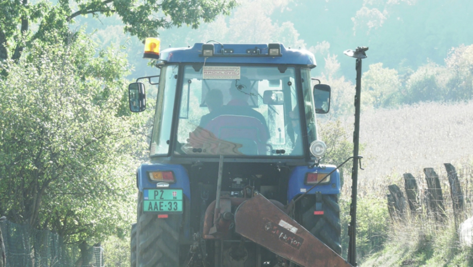REKORDERKA NA IMANJU RADOJKA Džinovska tikva teška je skoro 70 kilograma i ne zna šta da radi sa njom (FOTO)