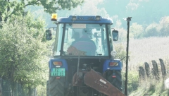 REKORDERKA NA IMANJU RADOJKA Džinovska tikva teška je skoro 70 kilograma i ne zna šta da radi sa njom (FOTO)