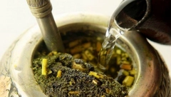 Čaj od ove biljke jači je od infuzije, podiže imunitet, odlaže starenje