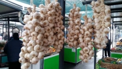 DOMAĆEG NI ZA LEK "Novi" beli luk se pojavio na pijacama i marketima, od kineskog se razlikuje po boji