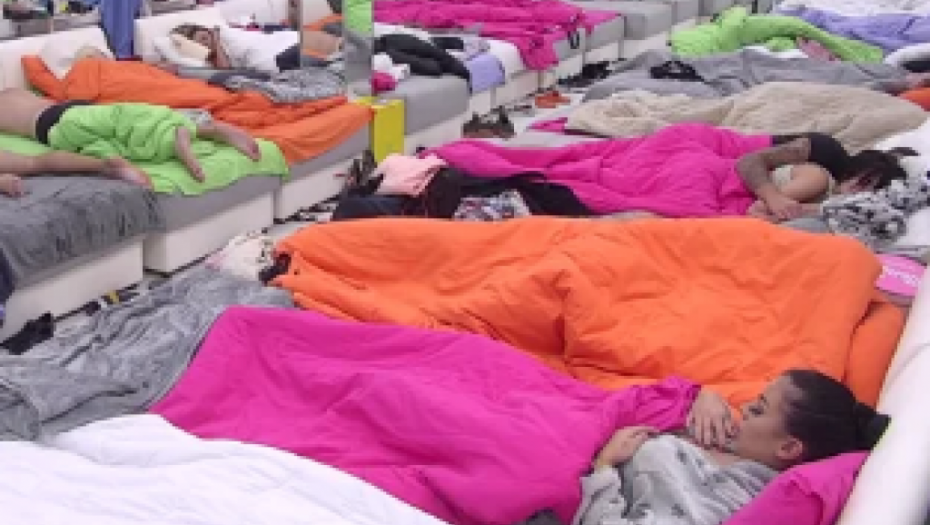 ŽESTOK SE*S U ZADRUZI! Milica i Mensur u akciji ispod pokrivača naočigled svih, tresao se krevet!