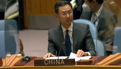 KINA O SITUACIJI U BOSNI Sve probleme da rešavaju domaći političari