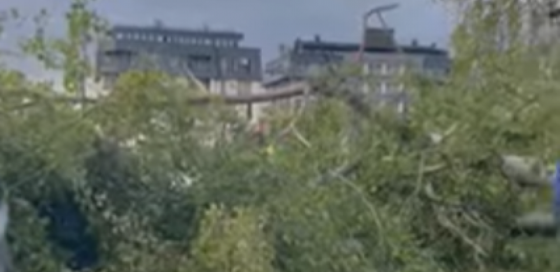 OLUJA ODNELA NAJMANJE ČETIRI ŽIVOTA Snažno zimsko nevreme zahvatilo sever Evrope tokom vikenda