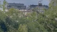 VETAR IZVALJIVAO STABLA, OBORIO SPOMENIK Jaki udari vetra u Sarajevu nosili sve pred sobom (VIDEO)