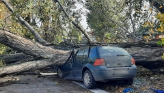 TEŠKA SAOBRAĆAJNA NESREĆA KOD KRALJEVA Izgubio kontrolu nad vozilom pa se se zakucao u drvo, ima povređenih