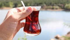 NAPRAVITE ČUDESNI SOK OD 5 SASTOJAKA Čisti creva, regulišete nivo šećera i topi masti u roku od 5 minuta