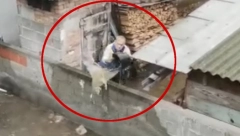 SNIMAK IZ BORČE RAZBESNEO SRBIJU Dok kiša lije komšija presipa vodu u tuđe dvorište (VIDEO)