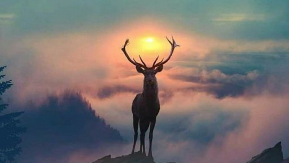 HOROSKOP ZA DECEMBAR Velika prekretnica za 4 znaka, dva će zažaliti što su se rodila