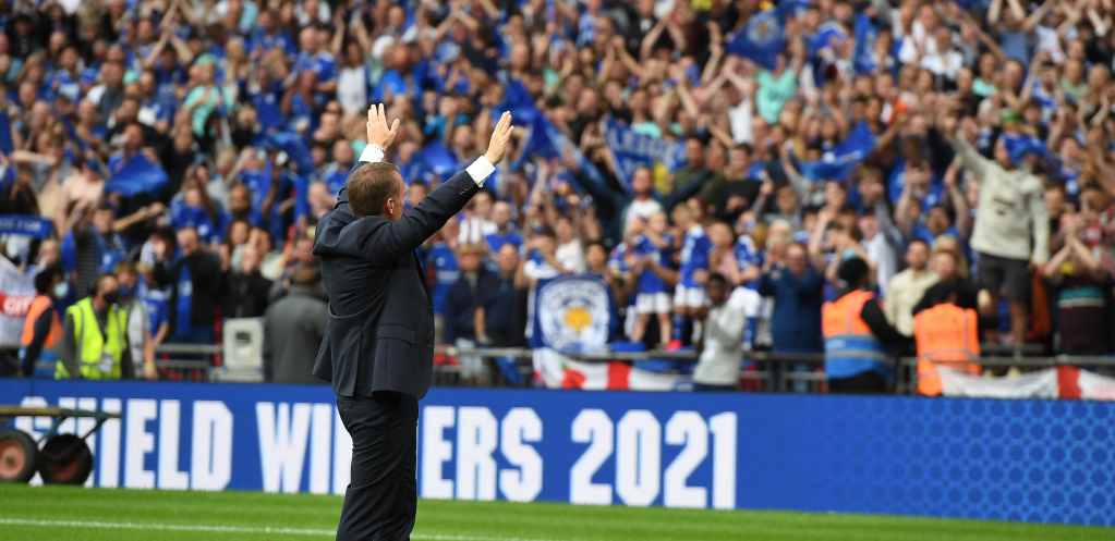 LISICE OTPUSTILE RODŽERSA Posle osam godina Lester se bori za opstanak