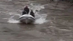 HOROR NA GRADSKOJ PLAŽI Čovek se utopio u Dunavu