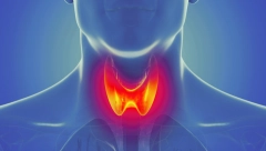 PROMENITE REŽIM ISHRANE Olakšajte simptome Hašimota