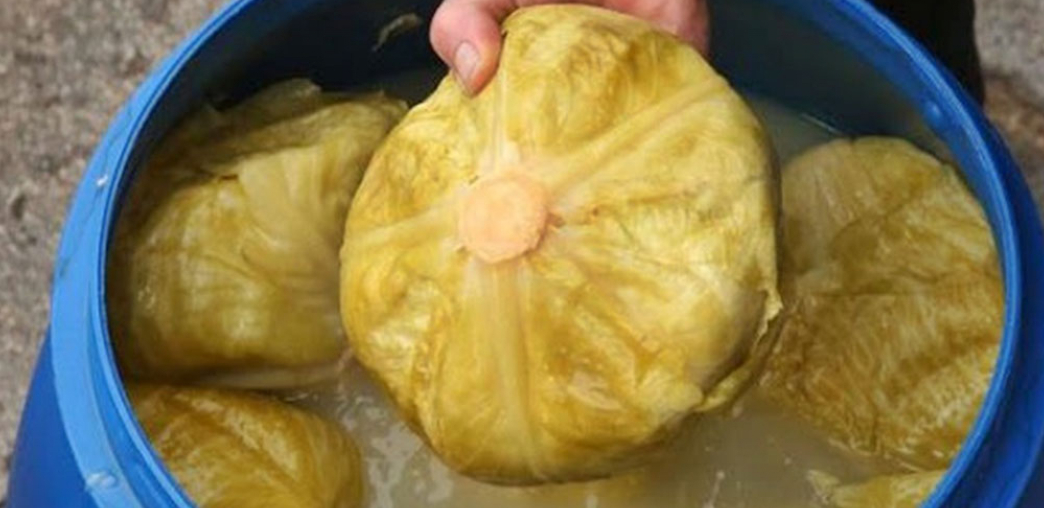 OBAVEZNO U BURE STAVITE OVO Dobićete najbolji kiseli kupus ikad, za to domaćice ne znaju