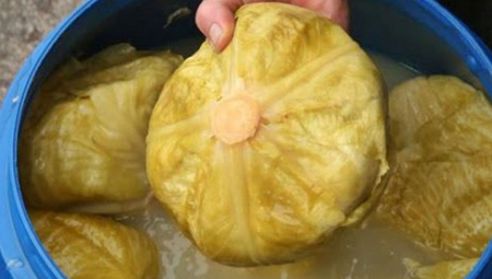 NEMA ŠANSE DA SE POKVARI Veoma je važno kada se kiseli kupus,  idealna je ova spoljna temperatura