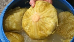 NA OVAJ NAČIN ĆETE DO LETA SAČUVATI KISELI KUPUS Ako ste primetili da počinje da se kvari, pratite ove korake i sačuvaćete ga