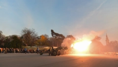 Počasna paljba povodom Dana primirja u Prvom svetskom ratu