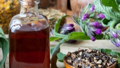 BILJKA KOJA ZAUSTAVLJA VREME Njen koren dokazano zateže i podmlađuje kožu