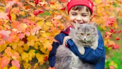 MUKE JESENJE NAŠIH LJUBIMICA Hladni dani menjaju navike naših maca, pa obratite pažnju na situacije koje mogu za njih da budu izazovne