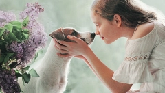 DA LI SE PAS GLEDA U OČI?! Neki kažu da to može biti veoma opasno, a sada se pojavila i druga teorija