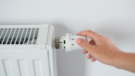 VIC DANA Napolju "debeo" minus, a Mujo došao kod Hase...