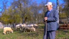 SEDAM DECENIJA NIJE BIO KOD LEKARA Deda Radoljub ne mari za godine, ovo je njegov recept za vitalnost