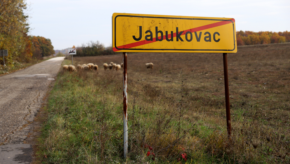 MAJA DOBILA 40 GODINA ZATVORA, DAVOR 36 Presuda za masakr u Jabukovcu