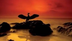 HOROSKOP ZA SUBOTU, 20. NOVEMBAR: Bikovi ne napuštajte posao dok ne nađete novi, Ovnovi izbegavajte nepotrebne svađe , Lavovi priznajte partneru da ga volite