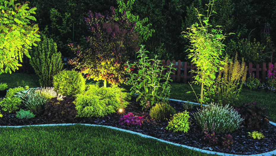 POSADITE IH U SVOM DVORIŠTU Ove biljke čuvaju kuću i donose blagostanje porodici