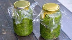 POTREBNA SU VAM SAMO OVA TRI SASTOJKA Napravite prirodni preparat za hipertenziju