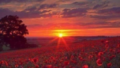 HOROSKOP ZA 24. SEPTEMBAR Lav nezadovoljan razvojem situacije, Jarcu neobičan susret, Rak nervozan