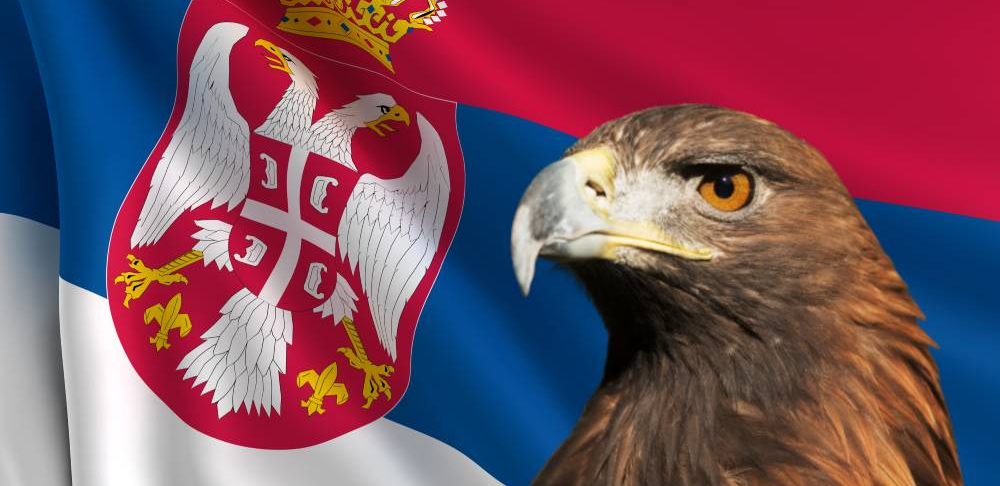 ŠTA ZASTAVU SRBIJE RAZLIKUJE OD OSTALIH U SVETU? Zbog ovog detalja možete platiti paprenu kaznu