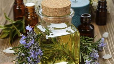 POVEĆAVA PAMĆENJE I POPRAVLJA OŠTEĆENE DNK Svaki dan 5 minuta udišite miris ove biljke