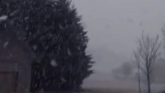 SNEG U HRVATSKOJ Zabelelo se u komšiluku! (VIDEO)
