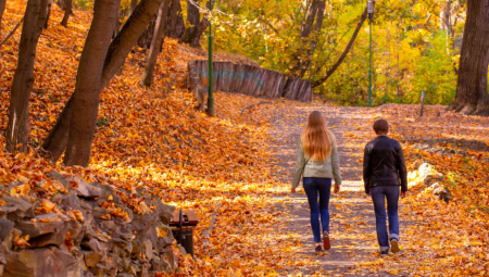 Prijaće i umu i telu: Četiri razloga da prošetate šumom