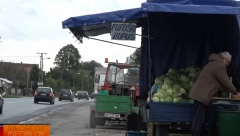 CENA FUTOŠKOG KUPUSA NAGLO SKOČILA Prodavci zabrinuti, prinosi prepolovljeni