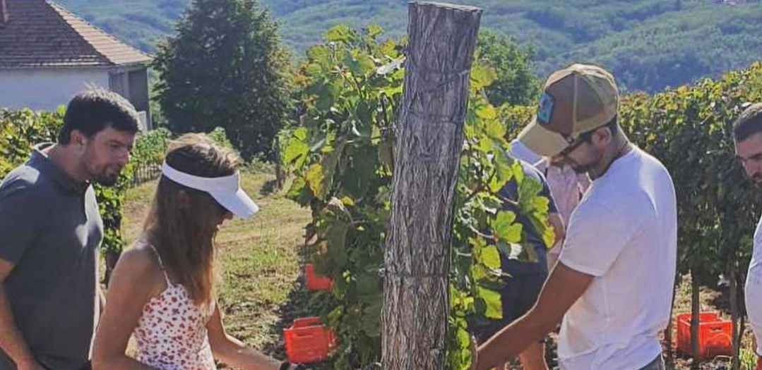 "MI U VINOGRAD, KAD TAMO - NOVAK ĐOKOVIĆ" Meštani sela Lipovac nisu verovali svojim očima! (FOTO)