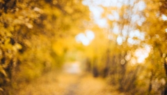 OBLACI NAD SRBIJOM Danas hladnije nego juče: Evo kada dolazi sunčani dan