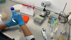 Kuhinjski sunđer prljaviji od kontejnera